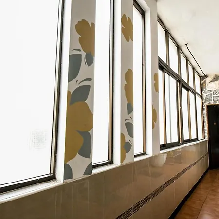 Drago 伊科德·德·洛斯·维诺斯