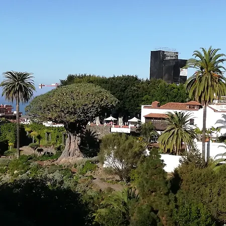 Drago Icod De Los Vinos