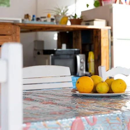 Drago * 伊科德·德·洛斯·维诺斯