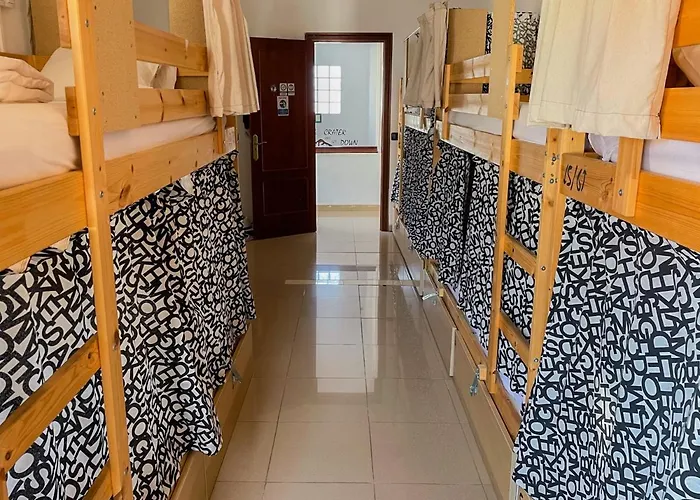 Drago Icod De Los Vinos