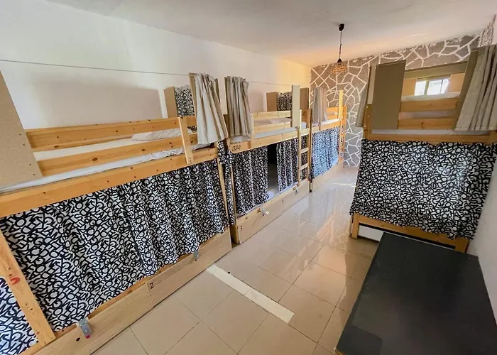 Drago Icod De Los Vinos