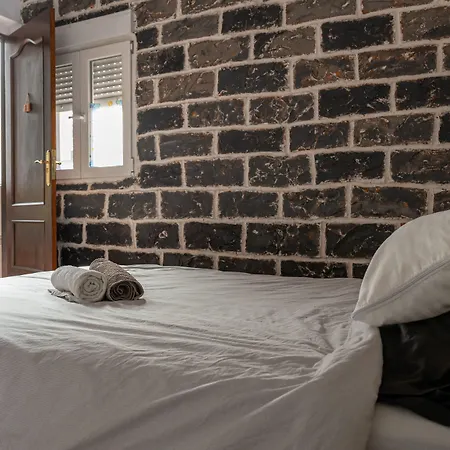 Drago Icod De Los Vinos