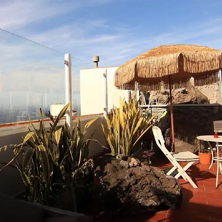 Drago Hostel *