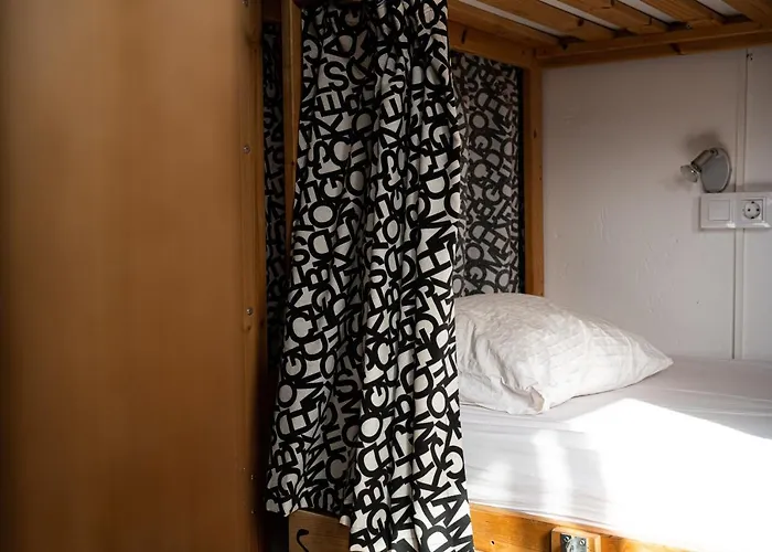 Drago Icod De Los Vinos