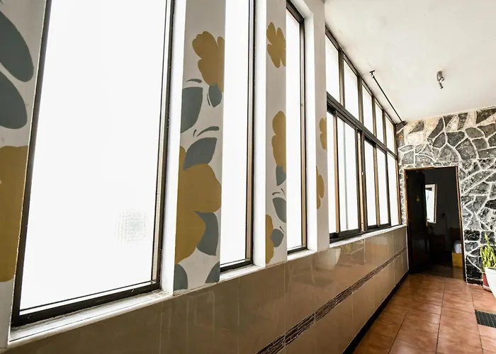 Drago Icod de los Vinos