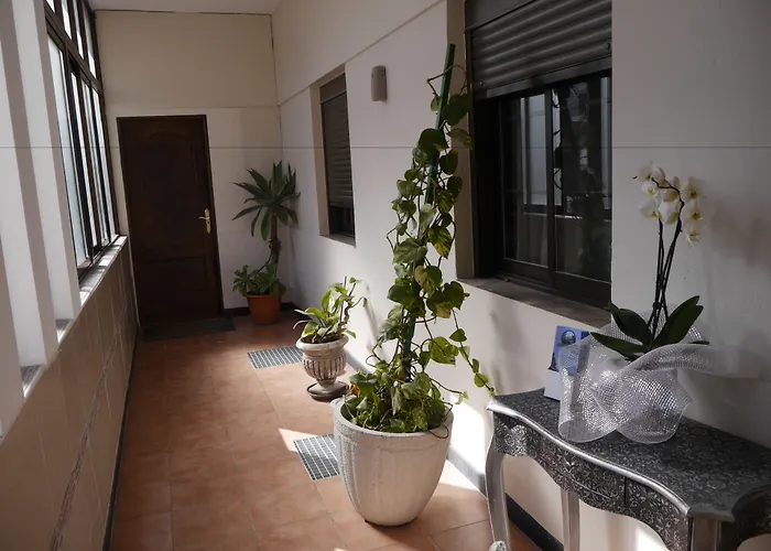 Drago Hostel Icod de los Vinos