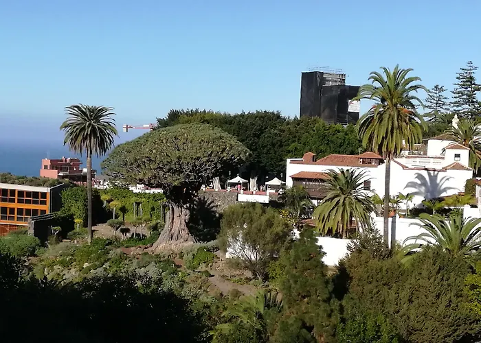 Drago Icod De Los Vinos