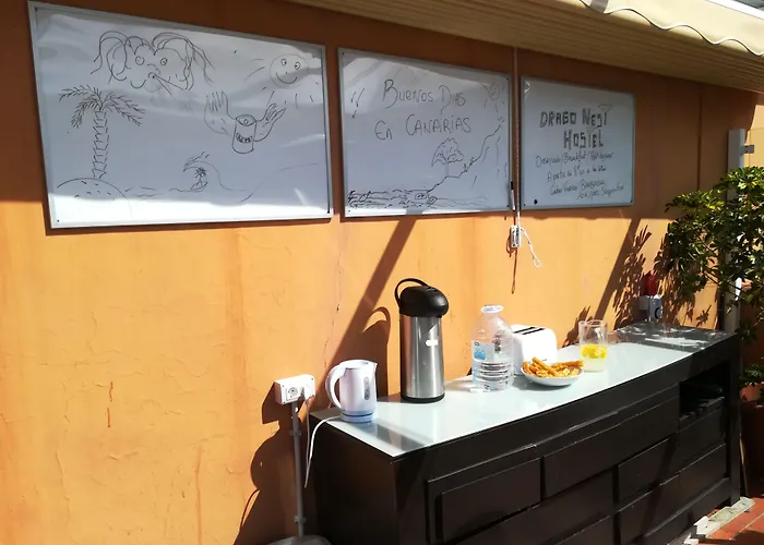 Drago Auberge de jeunesse Icod De Los Vinos